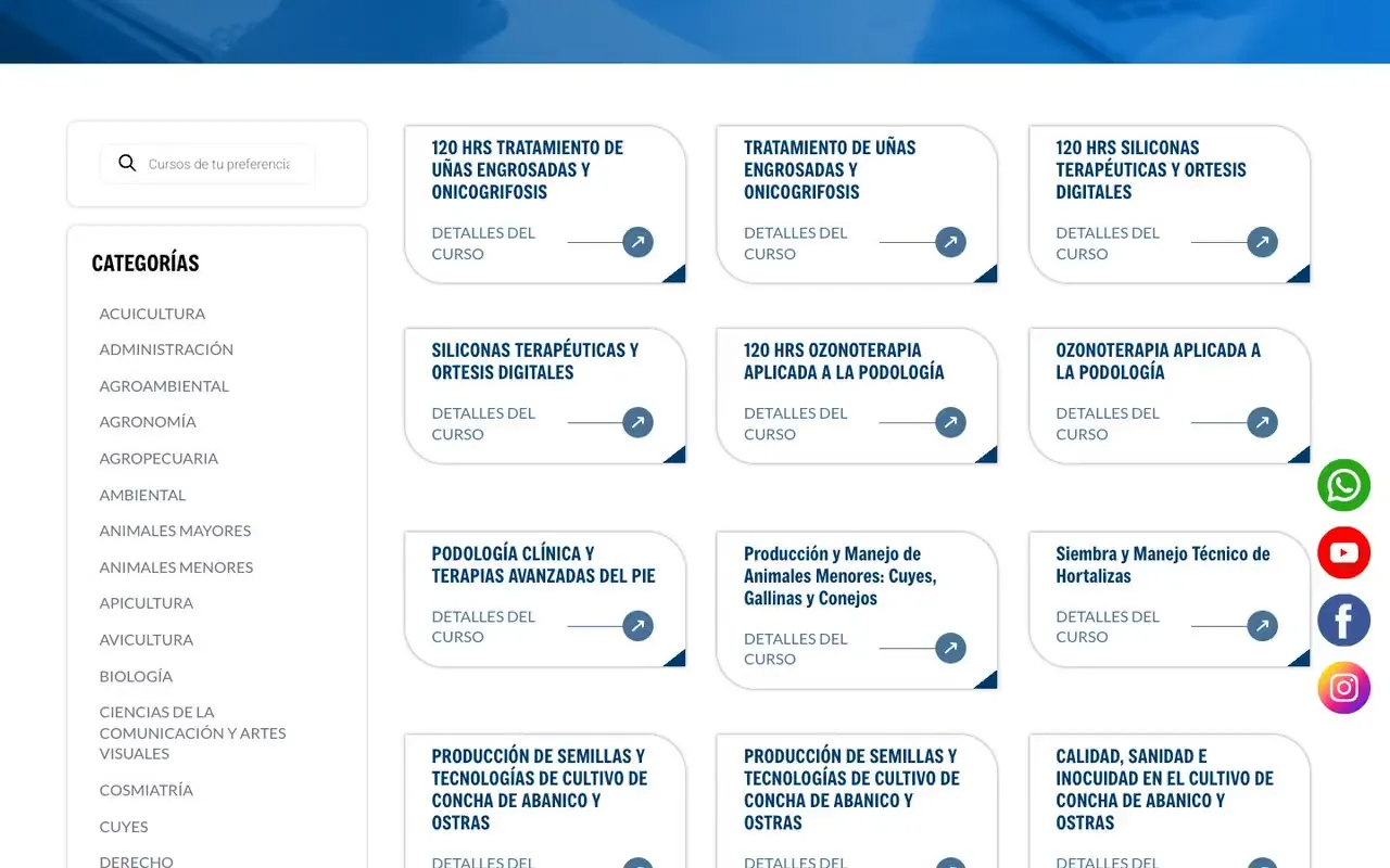 Buscador de cursos que muestra sugerencias mientras el alumno escribe