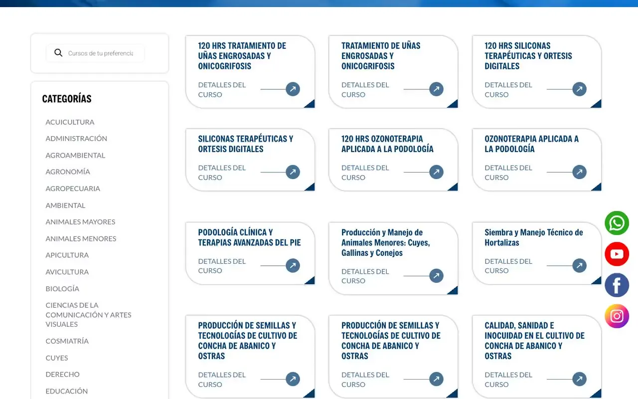 Catálogo con cientos de cursos organizados por categorías, cada uno con su propia ficha