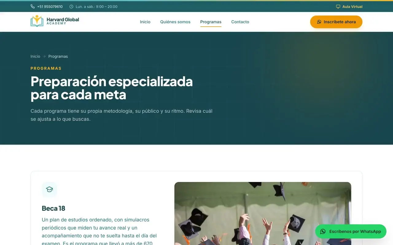 Página de programas de una academia con opciones de preparación y refuerzo escolar para primaria y secundaria