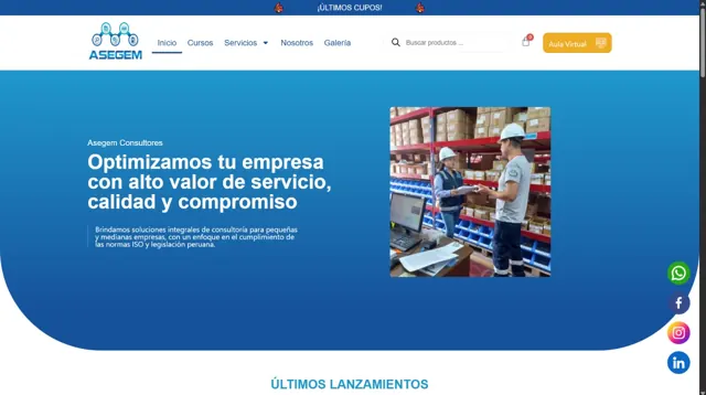 Web de ASEGEM