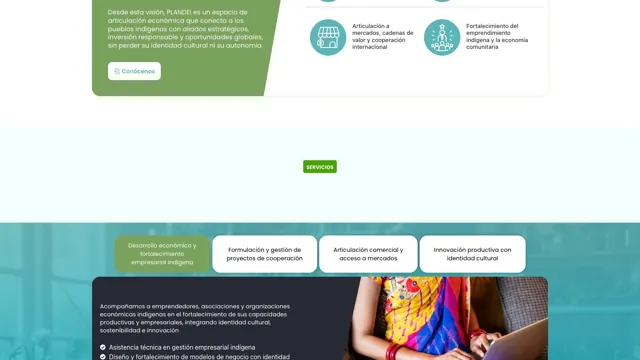 Web de PLANDEI