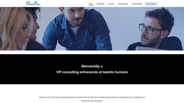 Web de VIP Consulting